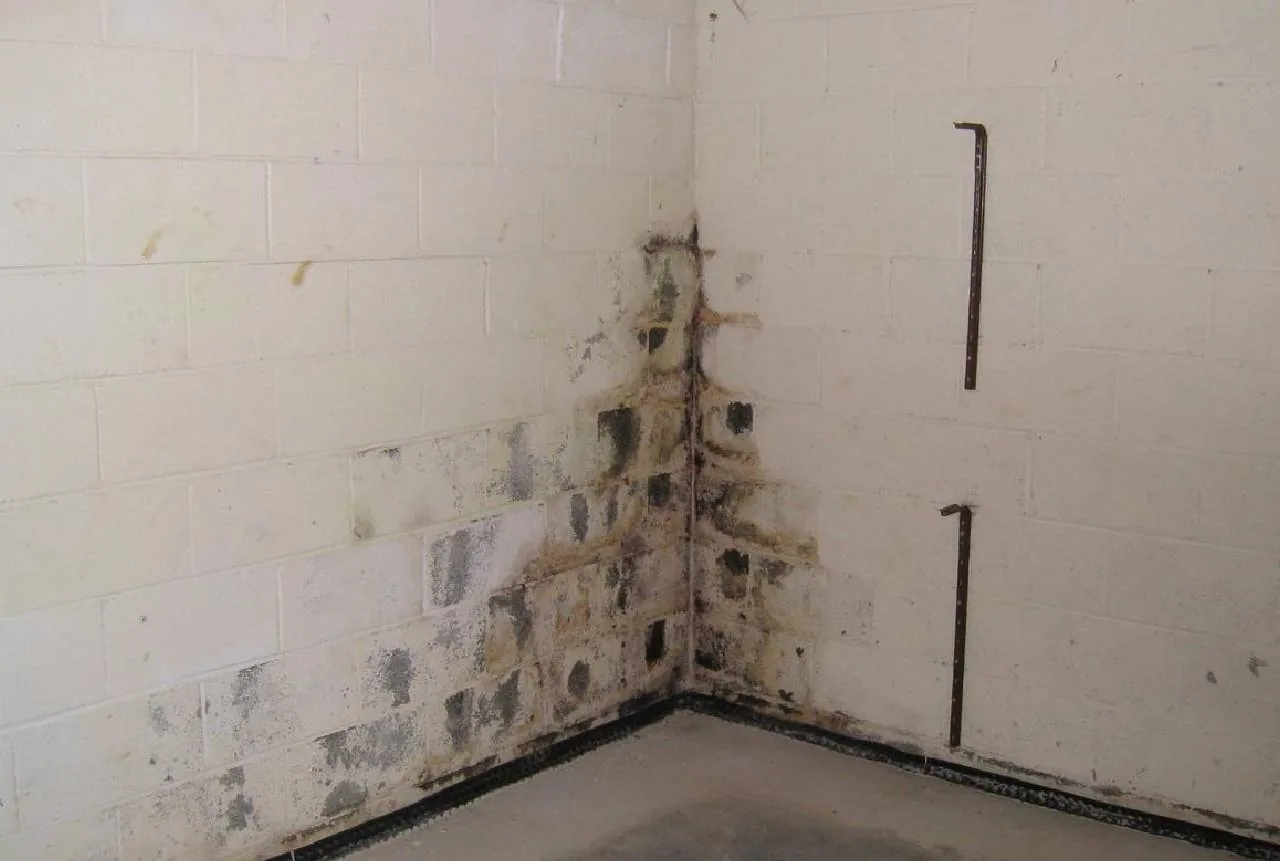 Basement waterproofing and repair in Rogers, AR